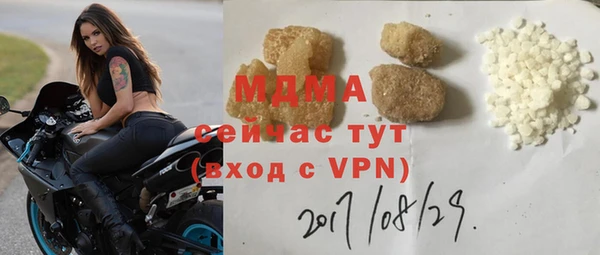 индика Кулебаки