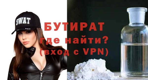 индика Кулебаки
