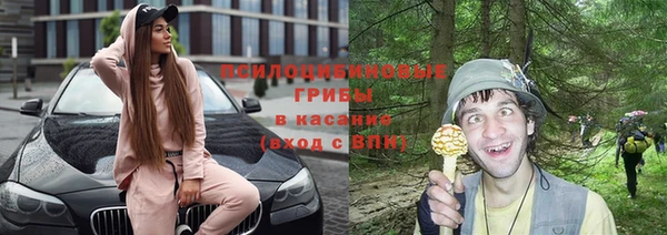 прущая мука Краснослободск