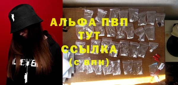 индика Кулебаки