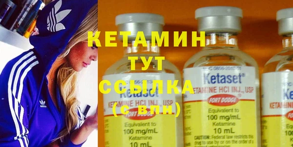 индика Кулебаки