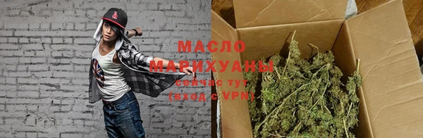 индика Кулебаки