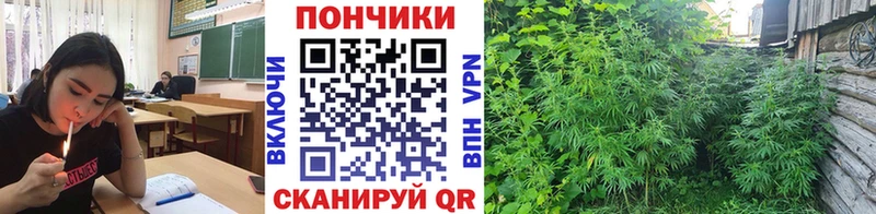 Конопля гибрид  blacksprut ССЫЛКА  Мариинский Посад 
